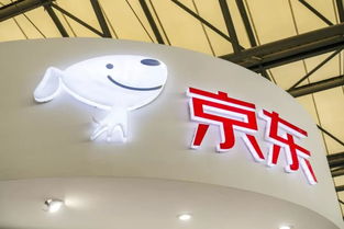 財報背后的秘密 隱形新中產崛起，成為京東增長新引擎